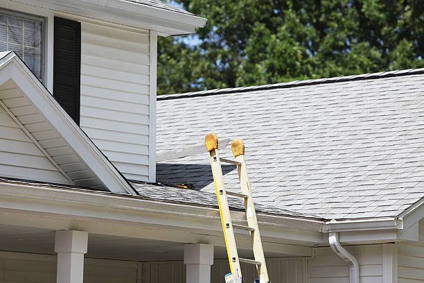 Siding Installation